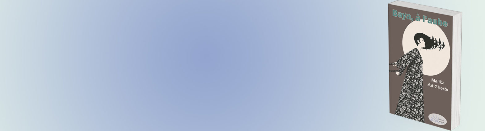 Image Slider